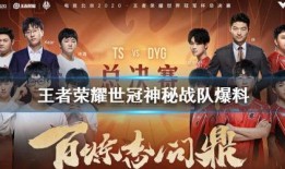 荣耀世冠最新爆料视频,精彩瞬间抢先看，揭秘新赛季精彩对决