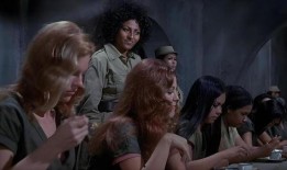 叶子媚三级全在线观看,揭秘激情四溢的影视盛宴