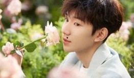 王源最新的爆料,娱乐圈背后的故事与心路历程